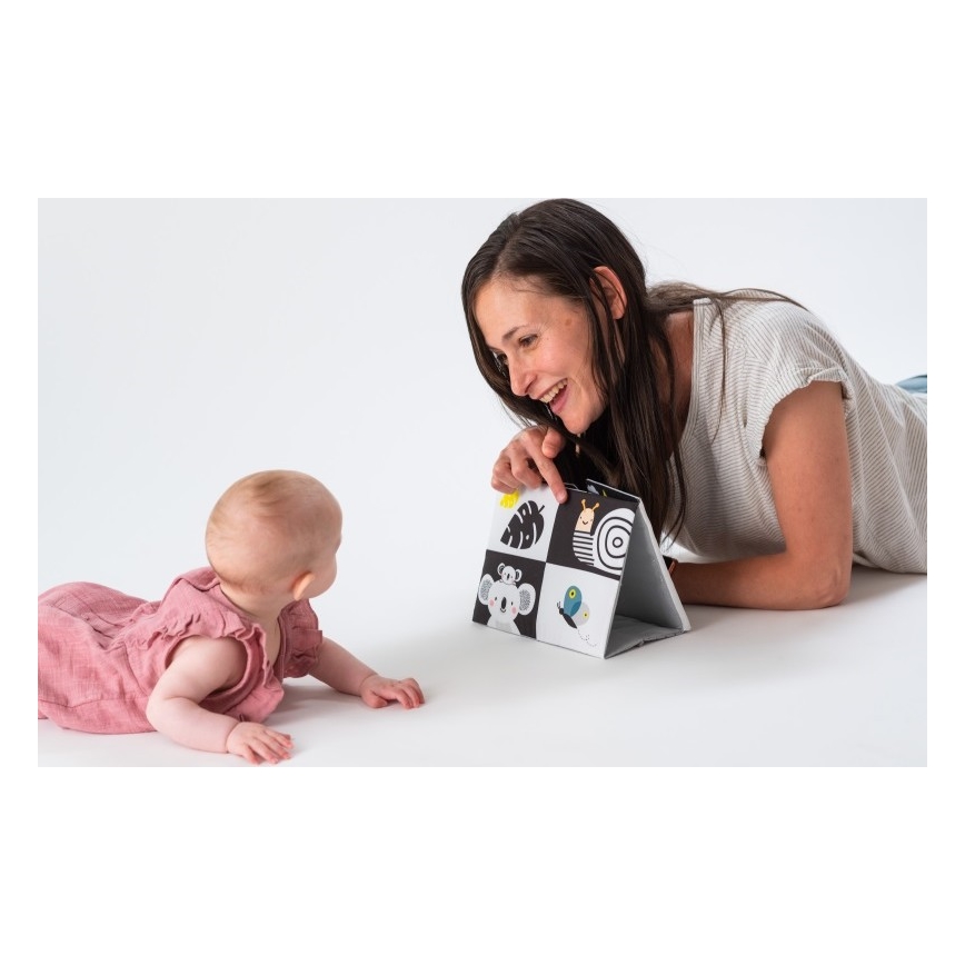 Taf Toys - Libro tessile per bambini con specchio nero
