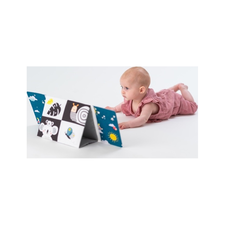 Taf Toys - Libro tessile per bambini con specchio nero