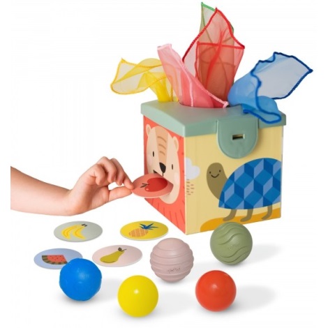 Taf Toys - Scatola interattiva MAGIC BOX