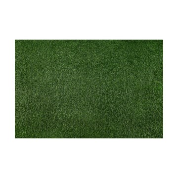 Tappeto in erba sintetica BELLIN 100x200 cm, 18 mm, verde