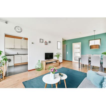 Tappeto RABBIT-ROSA NEW 80x150 cm 2000g/m2 turchese