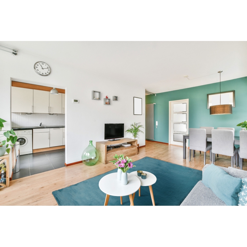 Tappeto RABBIT-ROSA NEW 80x150 cm 2000g/m2 turchese