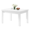 Tavolo da pranzo allungabile per 12 persone RALF 120/270x90 cm bianco