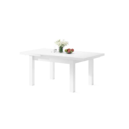 Tavolo da pranzo allungabile per 12 persone RALF 120/270x90 cm bianco