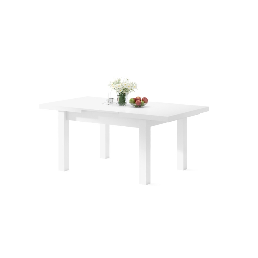 Tavolo da pranzo allungabile per 12 persone RALF 120/270x90 cm bianco