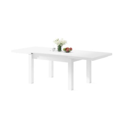 Tavolo da pranzo allungabile per 12 persone RALF 120/270x90 cm bianco