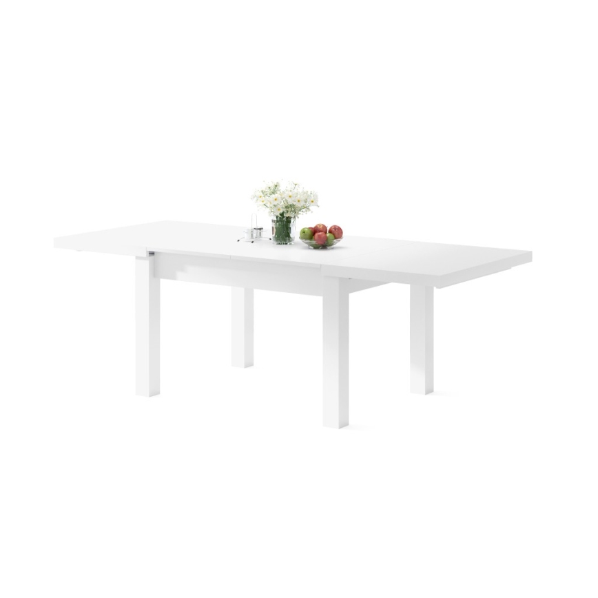 Tavolo da pranzo allungabile per 12 persone RALF 120/270x90 cm bianco