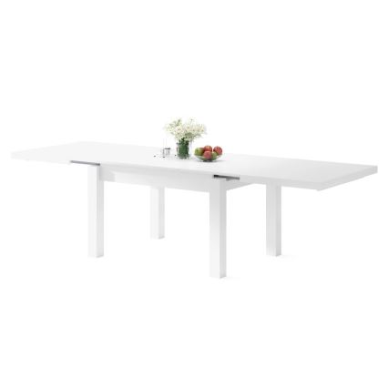 Tavolo da pranzo allungabile per 12 persone RALF 120/270x90 cm bianco