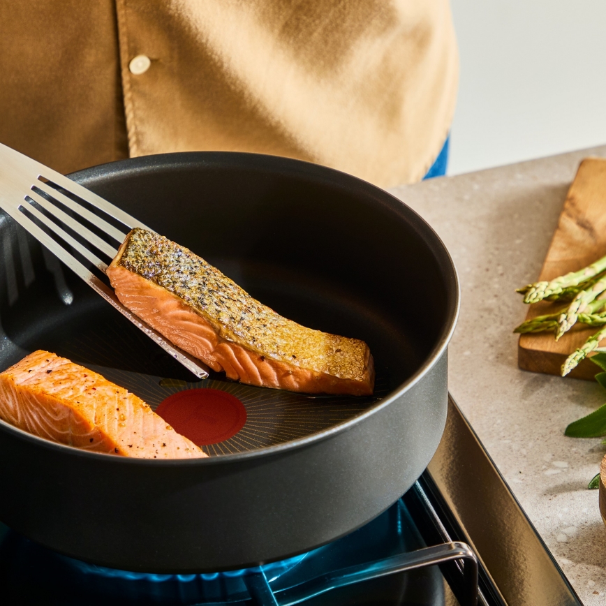 Tefal - Casseruola INGENIO Excellence Fusion 20 cm