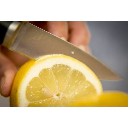 Tefal - Coltello per intaglio in acciaio inox ICE FORCE 9 cm cromo lucido/nero