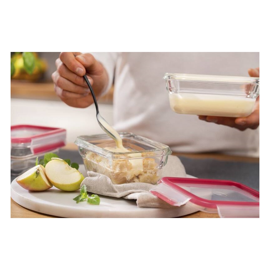 Tefal - Contenitore per alimenti 0,45 l MSEAL GLASS rosso/vetro