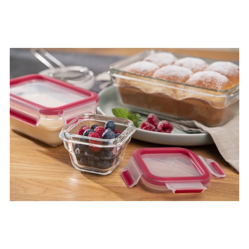 Tefal - Contenitore per alimenti 0,45 l MSEAL GLASS rosso/vetro
