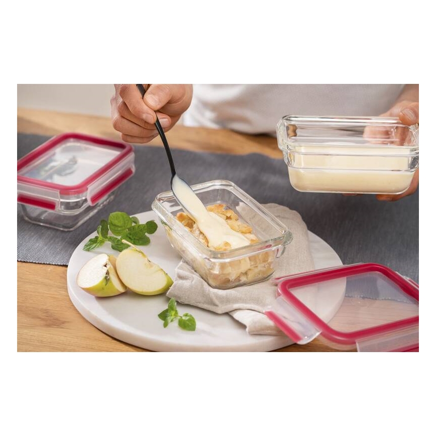 Tefal - Contenitore per alimenti MSEAL GLASS 1,1 l, rosso/vetro