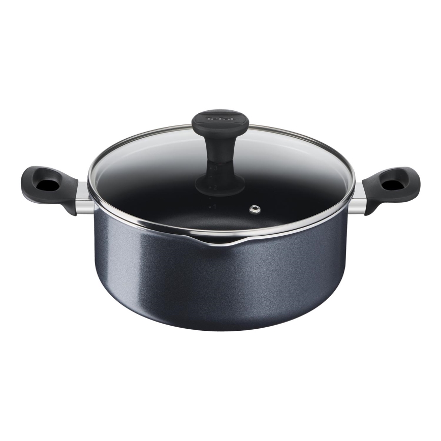 Tefal - Pentola con coperchio FAMILY DAY 24 cm