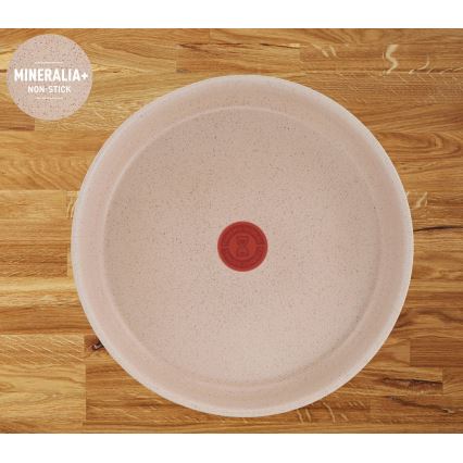 Tefal - Set di pentole da 17 pezzi INGENIO DELIGHT