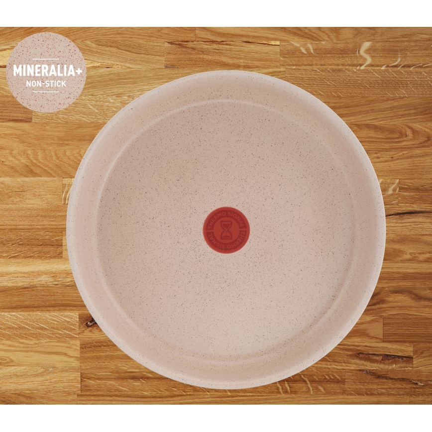 Tefal - Set di pentole da 17 pezzi INGENIO DELIGHT