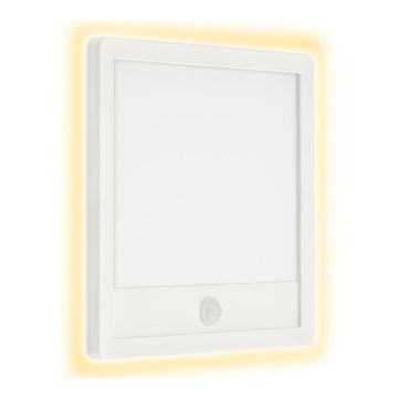 Telefunken 313806TF - LED Applique da esterno con sensore LED/15W/230V IP44