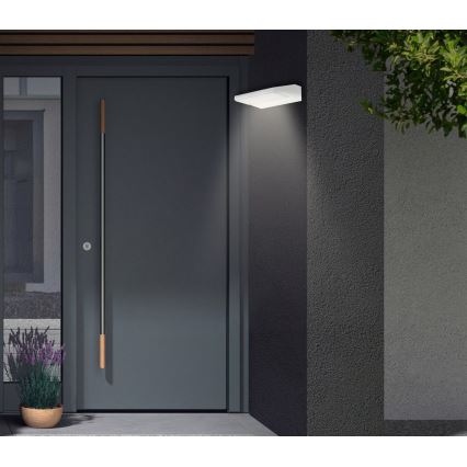 Telefunken - Applique da esterno LED/10W/230V IP44 bianca