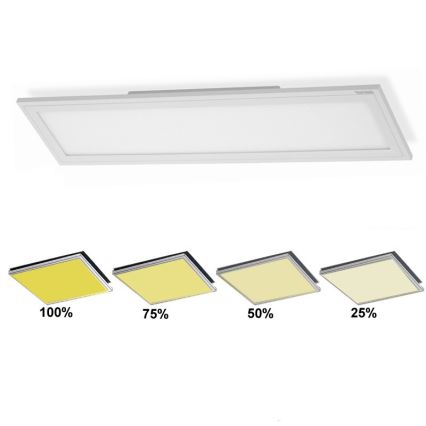 302506TF - Pannello LED dimmerabile 1xLED/18W/230V