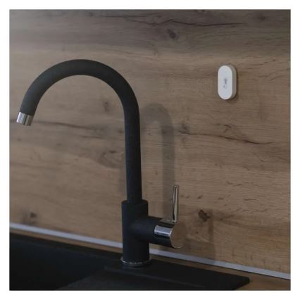 Termometro digitale wireless GoSmart 1×CR2032