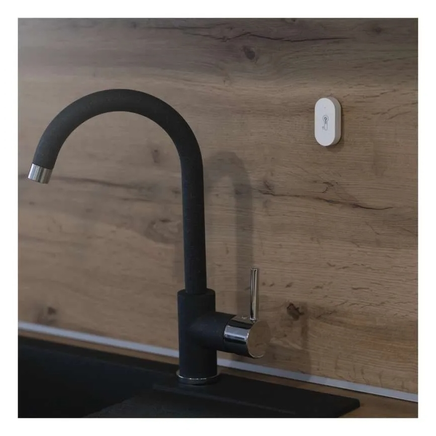 Termometro digitale wireless GoSmart 1×CR2032