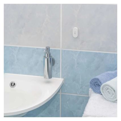 Termometro digitale wireless GoSmart 1×CR2032