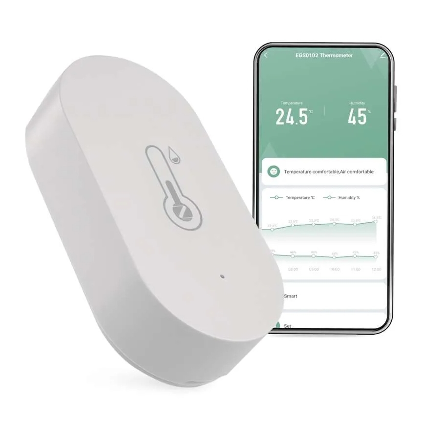 Termometro digitale wireless GoSmart 1×CR2032