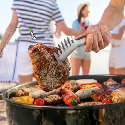 TESLA Electronics Cook - Termometro digitale per carne con sonda 0-400 °C 2xAA IP65