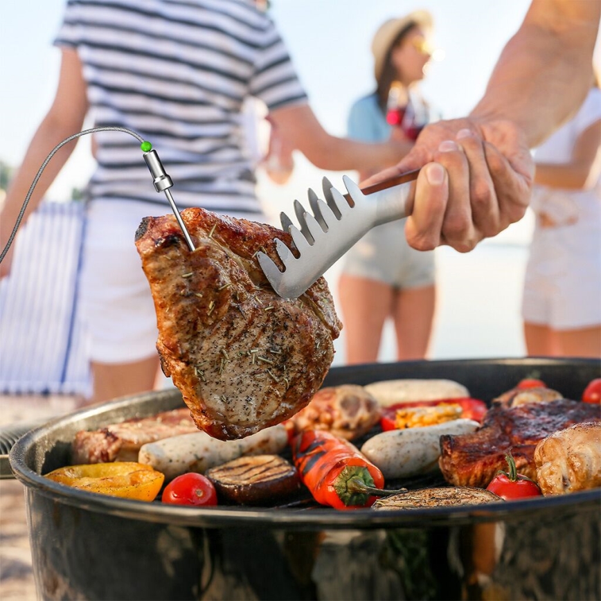 TESLA Electronics Cook - Termometro digitale per carne con sonda 0-400 °C 2xAA IP65