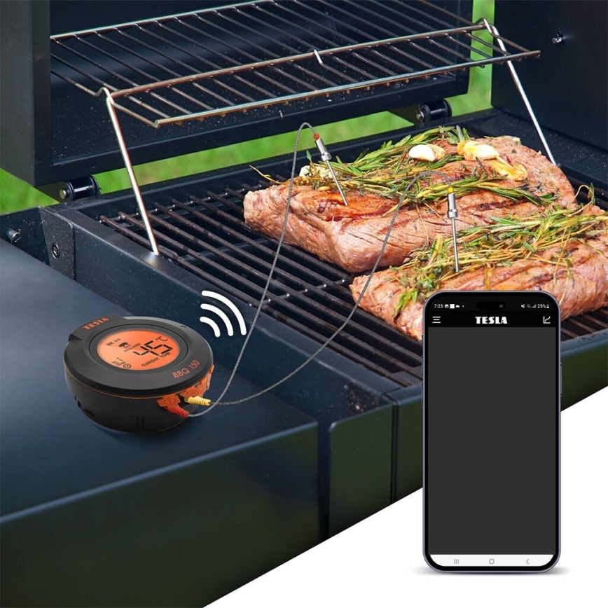TESLA Electronics Cook - Termometro digitale per carne con sonda 0-400 °C 2xAA IP65