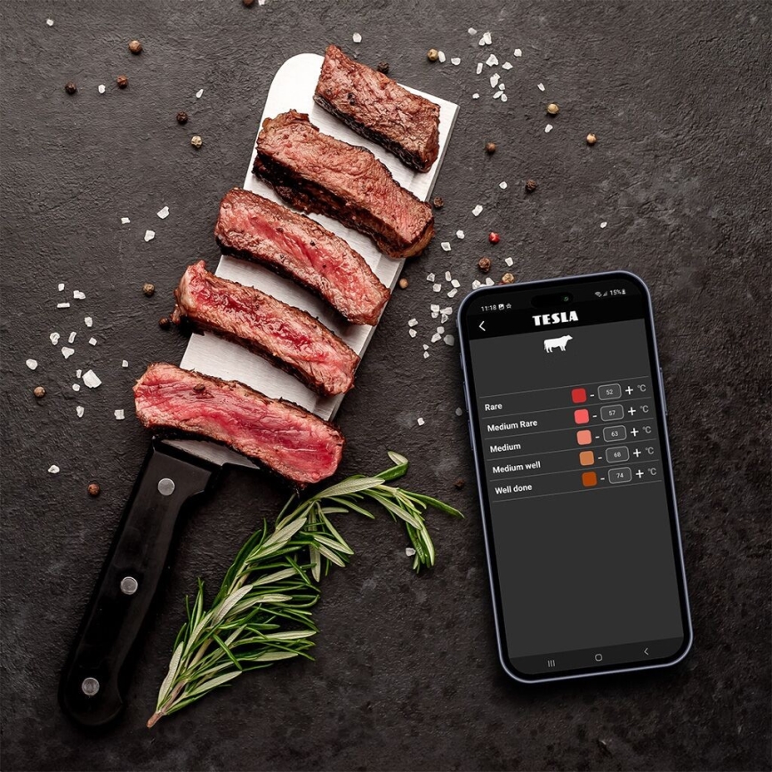 TESLA Electronics Cook - Termometro digitale per carne con sonda 0-400 °C 2xAA IP65