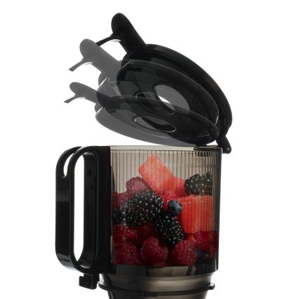 TESLA Electronics SlowJuicer Deluxe - Spremiagrumi a bassa velocità 250W/230V acciaio inossidabile/nero