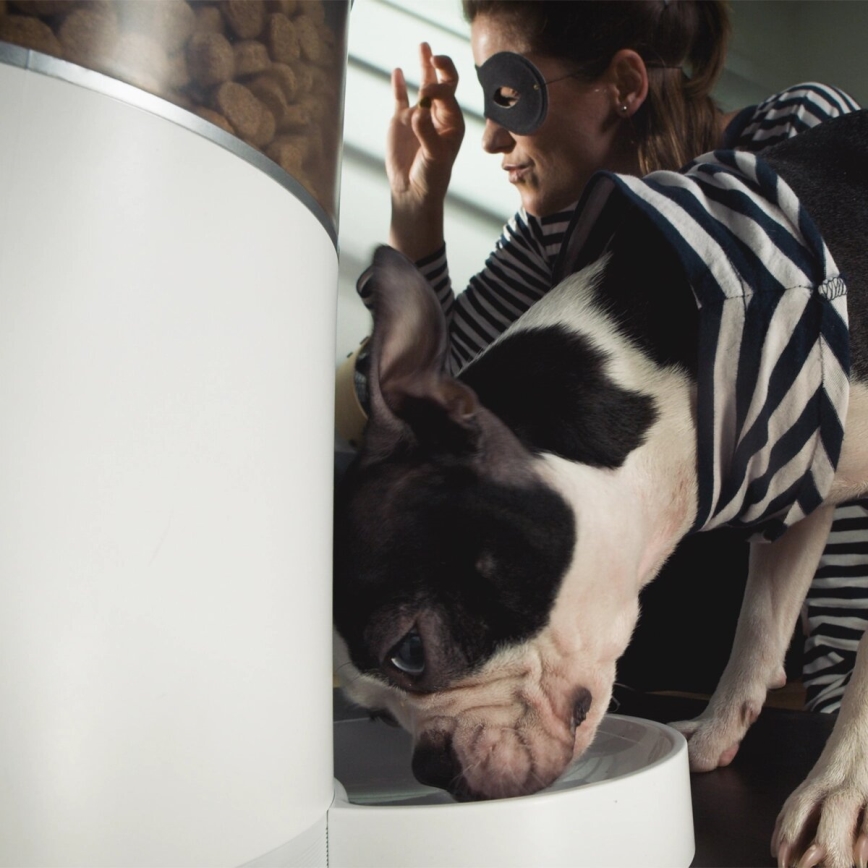 TESLA Smart - Alimentatore automatico smart per animali 4 l 5V/3xLR20 Wi-Fi