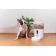 TESLA Smart - Alimentatore automatico smart con un camera per animali 4 l 5V/3xLR20 Wi-Fi