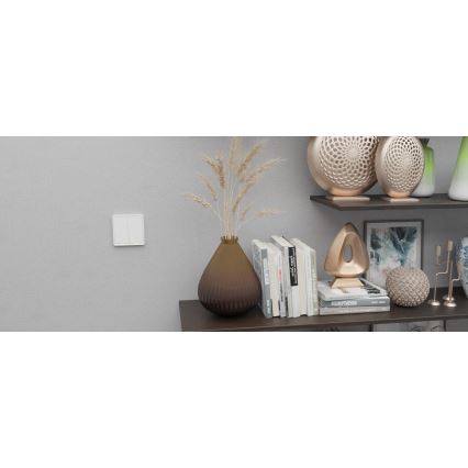 TESLA Smart - Interruttore domestico intelligente 1P 230V Zigbee