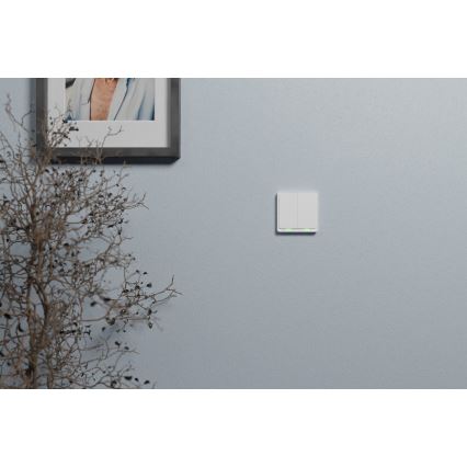 TESLA Smart - Interruttore domestico intelligente 2P 230V Zigbee