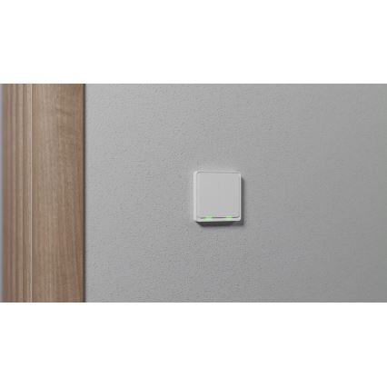 TESLA Smart - Interruttore domestico intelligente 2P 230V Zigbee