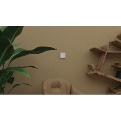 TESLA Smart - Interruttore domestico wireless intelligente 2P 1xCR2430 ZigBee