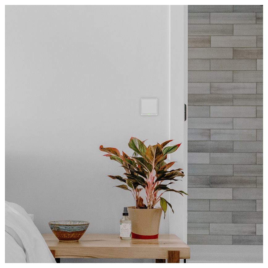 TESLA Smart - Interruttore intelligente domestico 1P 230V Wi-Fi