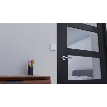TESLA Smart - Interruttore intelligente domestico 2P 230V Wi-Fi