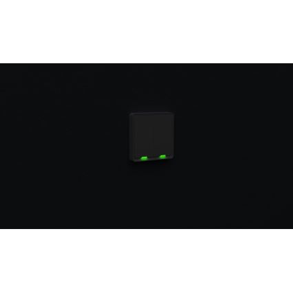 TESLA Smart - Interruttore intelligente domestico 2P 230V Wi-Fi