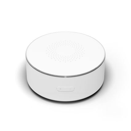 TESLA Smart - Sirena intelligente 12V Zigbee