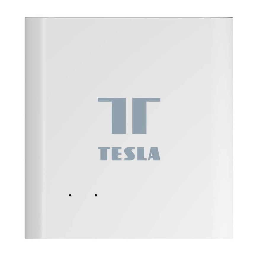 TESLA Smart - Unità di controllo Tesla Smart con RJ45, Wi‑Fi e hub ZigBee