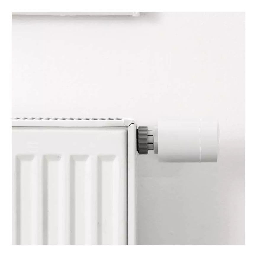 Testa termostatica intelligente con display LCD GoSmart M30x1,5 2xAA/1,5V Tuya