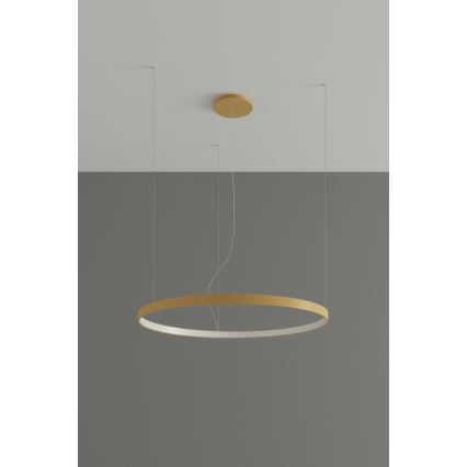 Thoro TH.174 - Lampadario LED a sospensione con filo RIO LED/50W/230V CRI 90 3000K diametro 78 cm oro