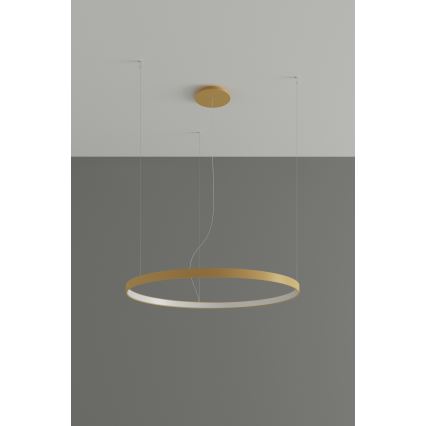 Thoro TH.174 - Lampadario LED a sospensione con filo RIO LED/50W/230V CRI90 3000K diametro 78 cm oro