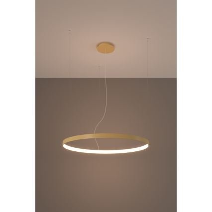 Thoro TH.174 - Lampadario LED a sospensione con filo RIO LED/50W/230V CRI90 3000K diametro 78 cm oro