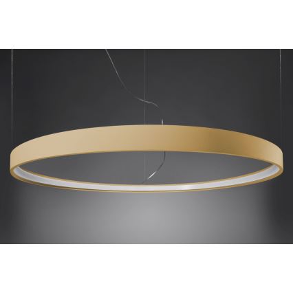 Thoro TH.174 - Lampadario LED a sospensione con filo RIO LED/50W/230V CRI90 3000K diametro 78 cm oro