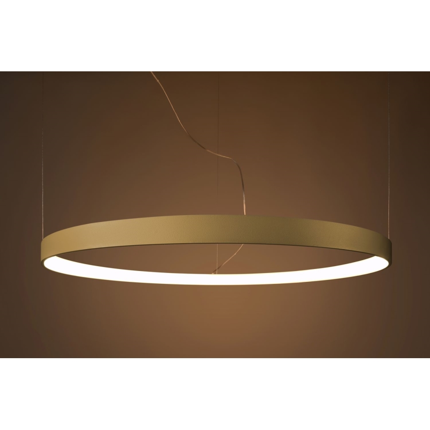 Thoro TH.174 - Lampadario LED a sospensione con filo RIO LED/50W/230V CRI 90 3000K diametro 78 cm oro