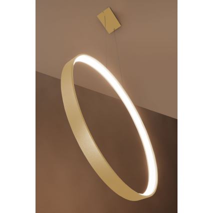 Thoro TH.175 - Lampadario LED a sospensione con filo RIO LED/50W/230V CRI90 3000K diametro 78 cm oro